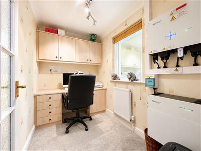 Picture 23